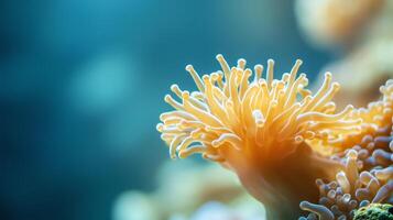 Coral polyps thriving under the ocean surface with sunlight filtering through water in a vibrant marine ecosystem photo