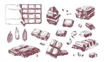 Collection of elegant drawings of whole and broken into pieces chocolate bars and cocoa beans. Delicious dessert hand drawn on white background. illustration in antique engraving style vector