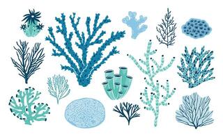 Bundle of various corals and seaweed or algae isolated on white background. Set of blue and green underwater species, marine creatures, sea or ocean flora and fauna. Flat colorful illustration vector