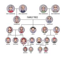 Family tree, pedigree or ancestry chart template. Cute men's and women's portraits in circular frames connected by lines. Links between relatives. Colorful illustration in lineart style vector