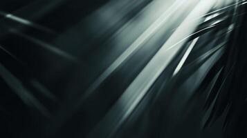 Light rays break through dense foliage creating a mystical atmosphere in the forest photo