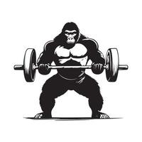 Black and white Gorilla Work Out, Barbell Lifting Stock image isolated on white background vector