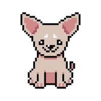 Pixel art cute chihuahua dog in retro style vector