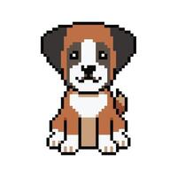Pixel art cute boxer dog in retro style vector
