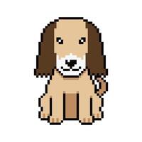 Pixel art cute afghan hound dog in retro style vector