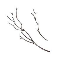Brown dry tree branches without leaves. Line art graphic hand drawn brown ink monochrome. Set of isolated EPS elements illustration vector