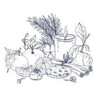 Tangerines with cotton, pine branches and cones, sweets, candle and spices. Graphic illustration hand drawn in black ink. Composition, sublimation, arrangement EPS . vector