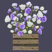 Bouquet of lilac and white bells in a wooden box on a purple background vector