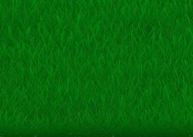 green grass background vector