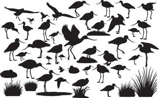 A collection of silhouettes of birds and plants vector
