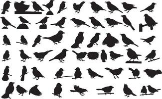 silhouette of birds on branches vector
