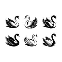 Swan Graphic Design File - Elegant Swan Illustration for Digital Projects vector