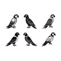Parrot Graphic Design File for Digital Projects vector