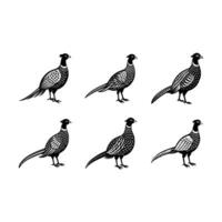 Pheasant Graphic Design File for Creative Projects vector