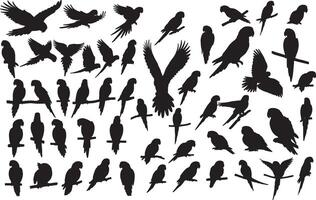 A collection of silhouettes of birds vector