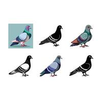 Pigeon Graphic Design File for Digital Use vector