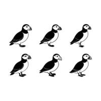 Puffin Graphic Design File for Digital Projects vector