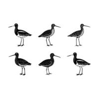 Redshank Graphic Design File for Creative Projects vector