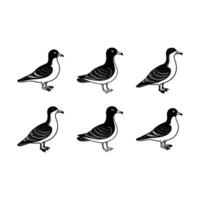 Petrel Graphic Design File for Creative Projects vector