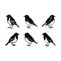 Robin Graphic Design File - High-Quality Digital Download vector