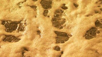 Footsteps Sand Beach Footprints - Close-up view of footprints left in the sand on a beach. video