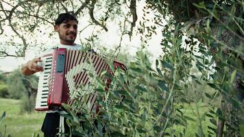 Accordion Playing In The Middle Of Tree Branches video