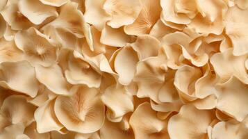 Delicate arrangement of cream-colored flower petals creating a soft textured background photo