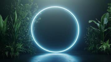 Mysterious glowing circle surrounded by lush plants in a dimly lit environment photo