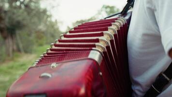 Accordion In The Hands Of A Rural Player video