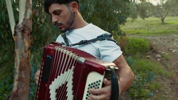 Rustic Fields Alive with Accordion Melodies video
