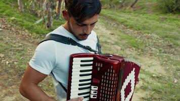 Harmonious Accordion Performance in Vast Countryside video