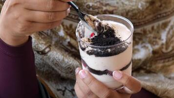 apreciar uma delicioso e decadente em camadas sobremesa fez com biscoitos e creme video