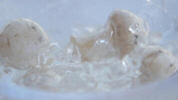 Fresh Mushrooms Splashing in Crystal Clear Water With Motion and Vibrancy video