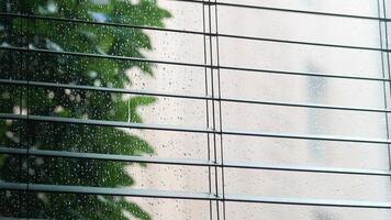 A Rainy Window Featuring Blinds with Lush Greenery Visible Outside video