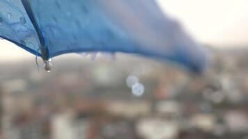 Close-up of Raindrops on a Blue Umbrella Against a Clear Sky video