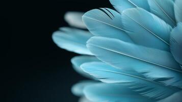 Beautiful blue feathers showcasing intricate details and textures against a dark background photo