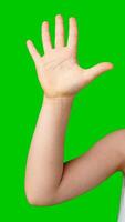 A child's hand raised in greeting against a bright green background photo
