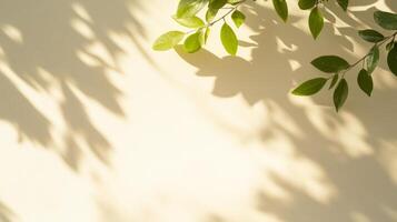 Green leaves casting shadows on light background create serene and minimalistic summer scene photo