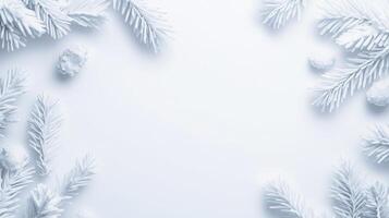 Snowy pine branches frame white background, creating minimalistic winter scene photo
