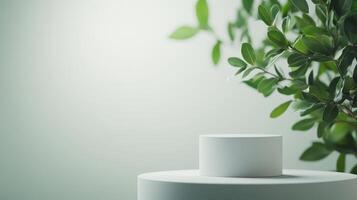 Minimal white podium with green leaves on soft background photo