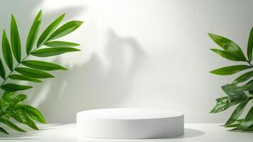 minimalistic white podium surrounded by green leaves on white background photo
