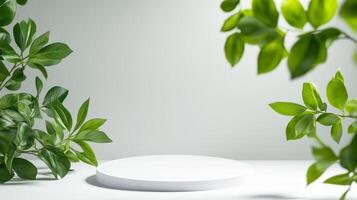 white podium surrounded by green leaves on simple, minimalistic background photo