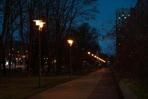 A pedestrian path illuminated by lanterns in the evening, in December photo