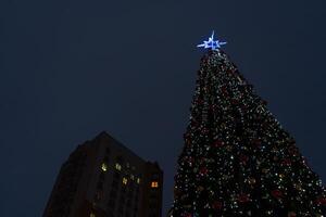 New Year's tree on the background of a multi-storey building photo