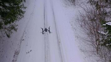 Drone flying above forest covered with snow. Flying drone in action on the winter snow landscape background video