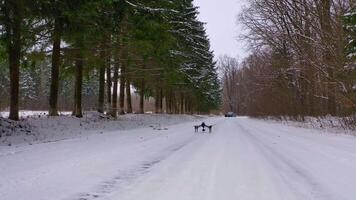 Drone stands on road. View of drone with camera standing on road video