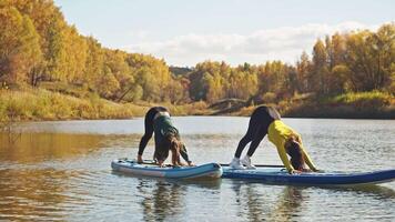 The favorite hobby of two women is fitness, which they enjoy doing while standing on a board for stand up paddleboarding. Beautiful autumn cool landscape stretches around them. video