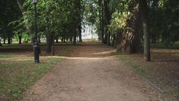 background summer park empty pedestrian walkway traffic first person view video