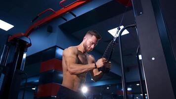 Exercise for triceps in the gym. Handsome muscular man working out at gym video