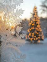 Frost patterns on window creating festive christmas scene at sunset photo